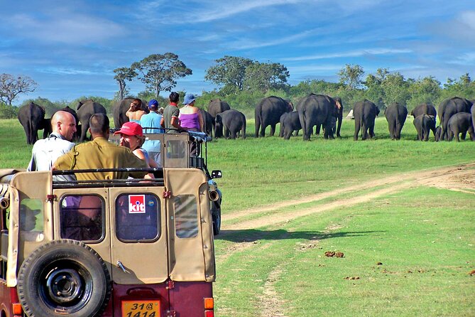 A safari jeep overlooking the tank with a large herd of elephants
