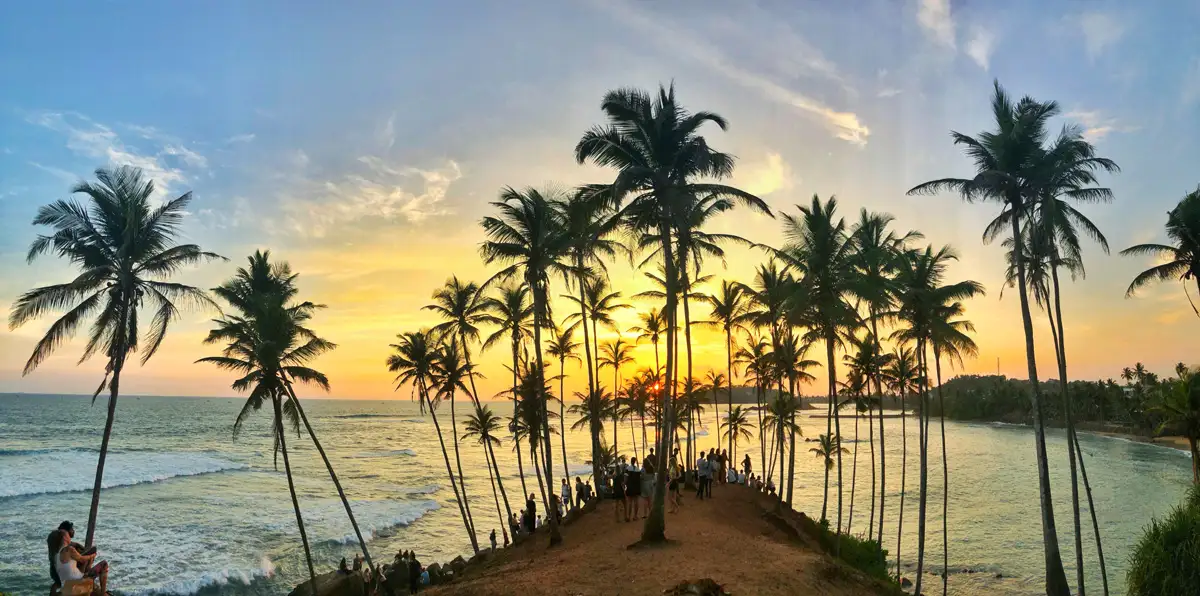 Mirissa Beach and Whale Watching
