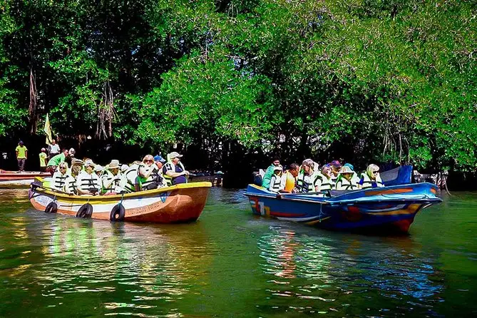 Boat navigating through mangrove tunnels on the Madu Ganga river