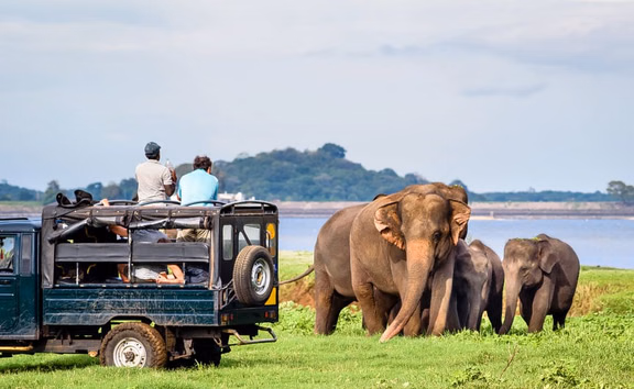 A safari jeep driving through the open grasslands of Udawalawe